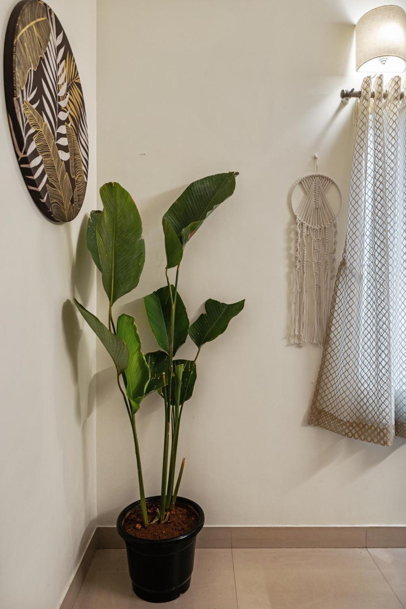 House Of 2 Tress Penthouse Villa บังกาลอร์ ภายนอก รูปภาพ